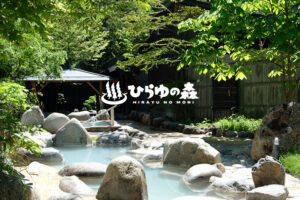 奥飛騨温泉郷 平湯温泉「ひらゆの森」