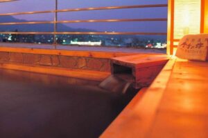 別府温泉「ゆわいの宿竹乃井」