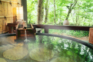 長野 蓼科温泉 イージス観光