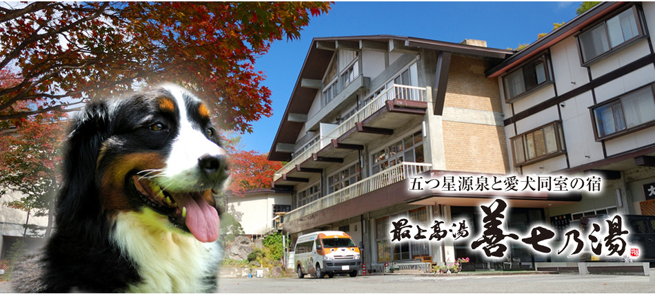 五つ星源泉と愛犬同室の宿　最上高湯「善七の湯」